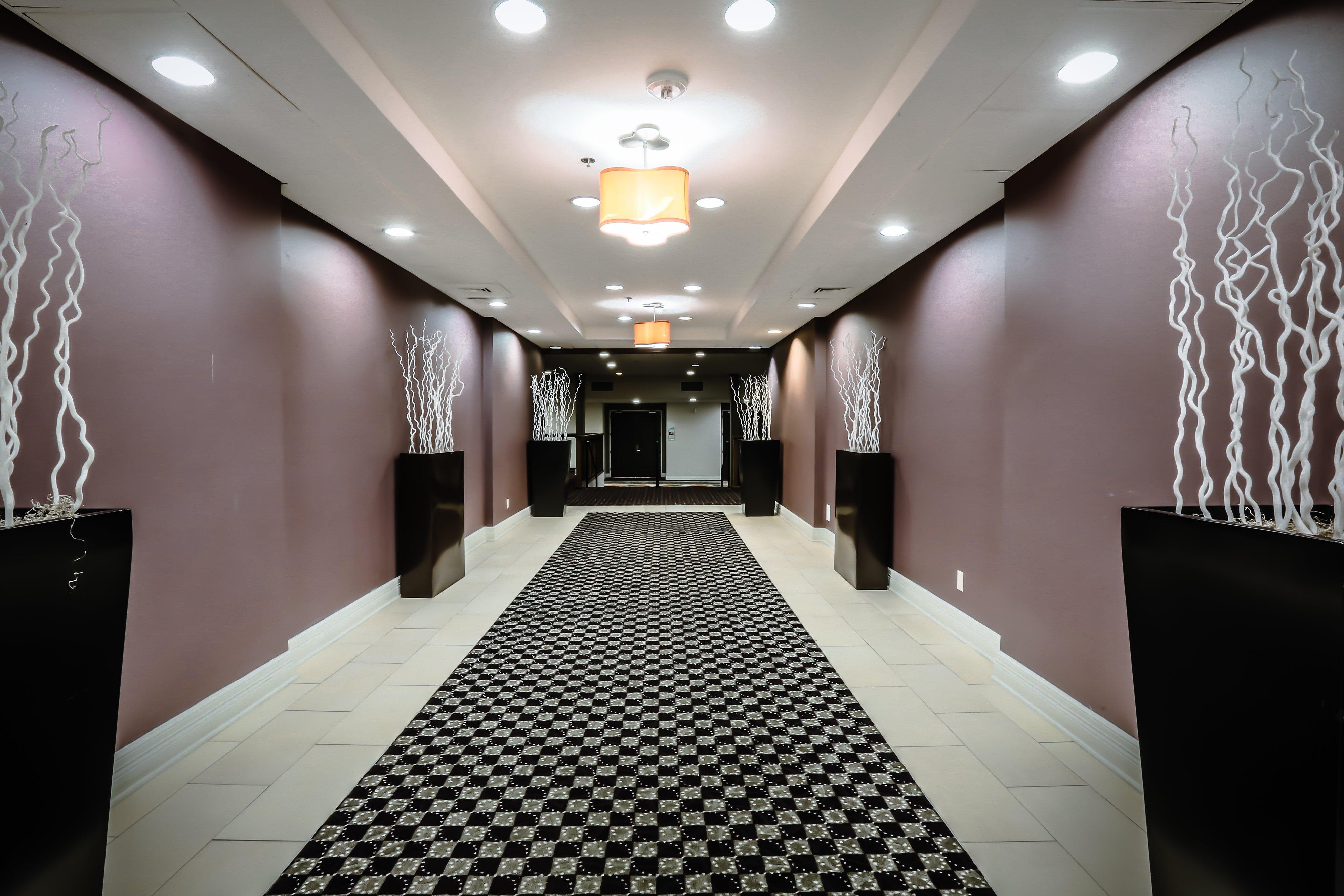 Holiday Inn Austin Midtown By Ihg Exterior photo